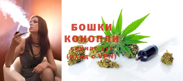 шишки Бугульма